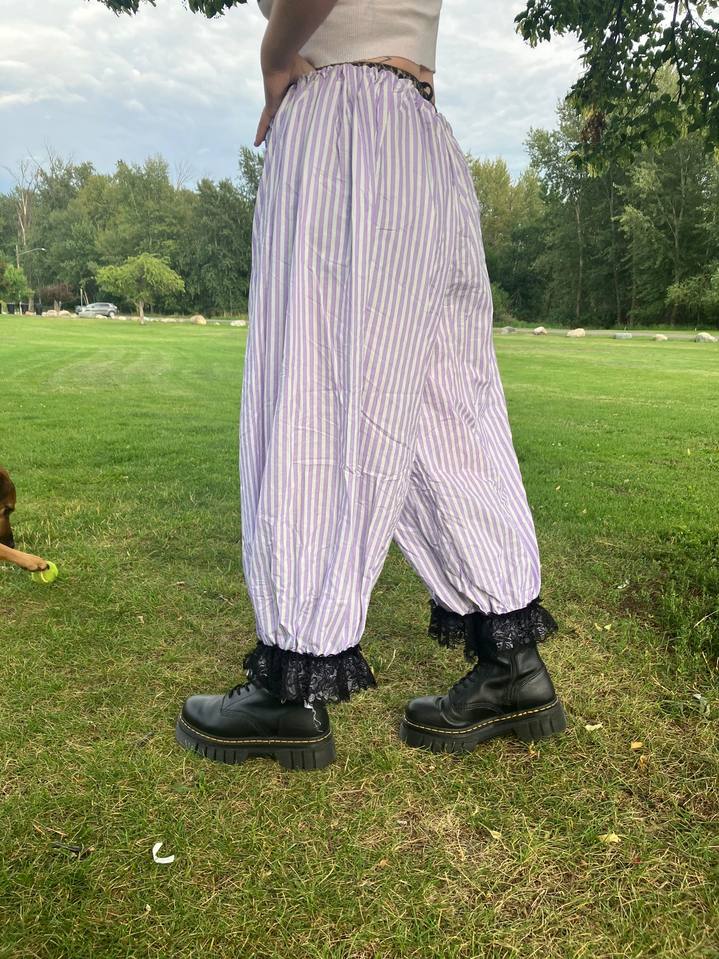 Bloomer pants: LARGE